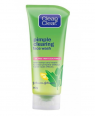 CLEAN & CLEAR PIMPLE CLEARING F/W 