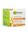GARNIER WINTER CARE 40GM