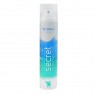 SECRET TEMPTATION 120ML