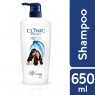 CLINIC PLUS STRONG & LONG 650ML