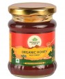 HONEY  ORGANIC INDIA WILD FOREST 250 G 