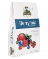 JEWEL FARMER BERRYMIX MIX BERRIES 250 G