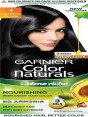 GARNIER NATURAL BLACK 1 NO.