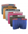 MACHO PALIN TRUNK ASSORTED 80CM