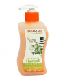 PATANJALI ANTI-BACTERIAL HERBAL HAND WASH
