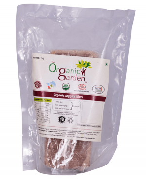 ECOLIFE ORGANIC JAGGERY GUR 750G