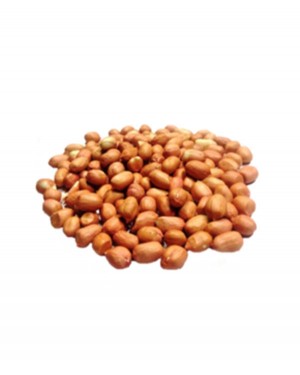 MOD PEANUT DANA 100 GMS